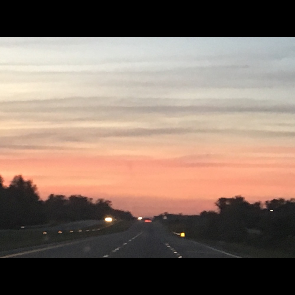 Meet your Posher, Gracie